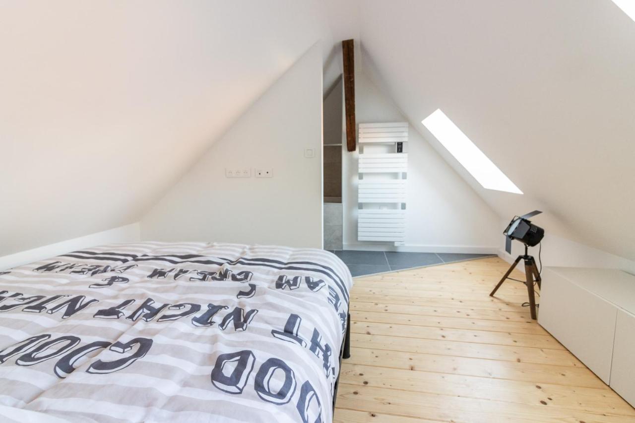 Magnifique Appartement Duplex Climatise De 40M² Nancy Eksteriør bilde